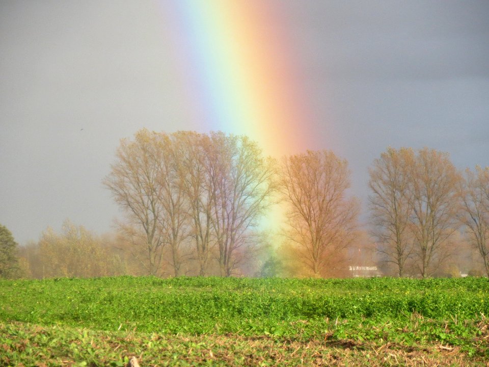 20131107Regenbogen_Reilingen4