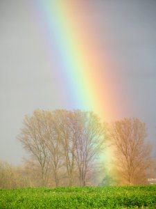 20131107Regenbogen_Reilingen3
