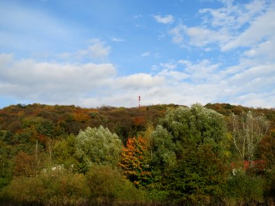 20131026St_Arnualer_Wiesen4