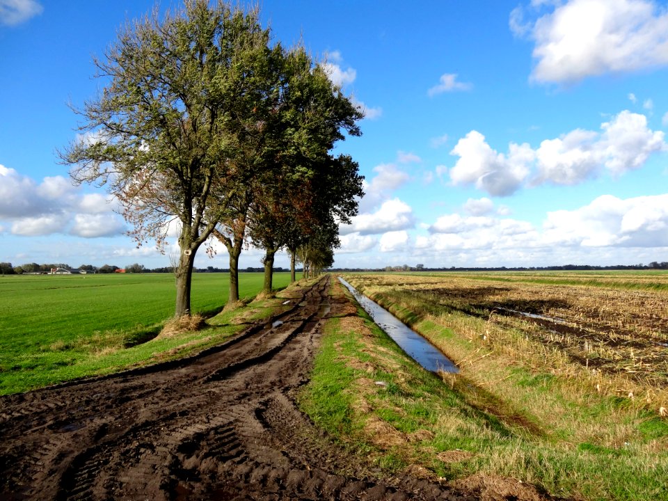 20131030_Polder_Halfweg1