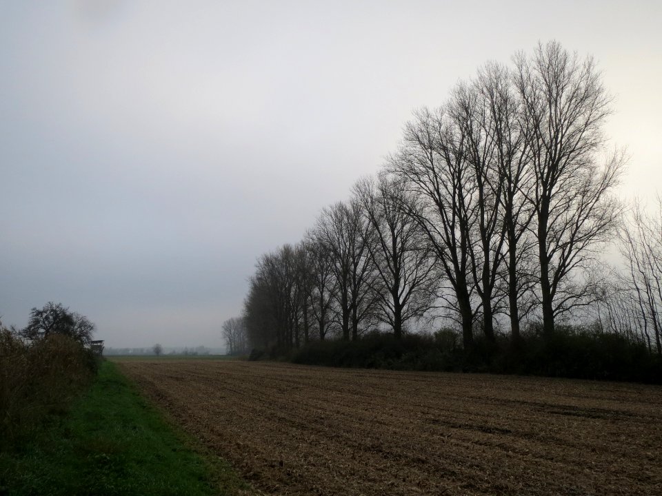 20131203Reilingen2