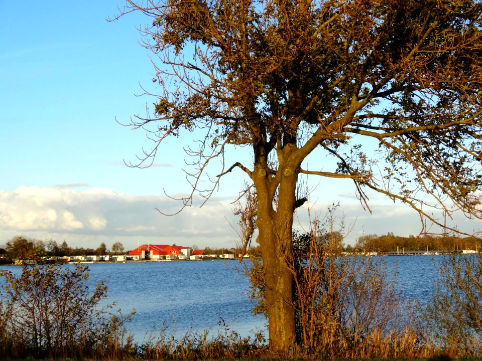 20131030_Belterwijde_met_zicht_op_Westeinde