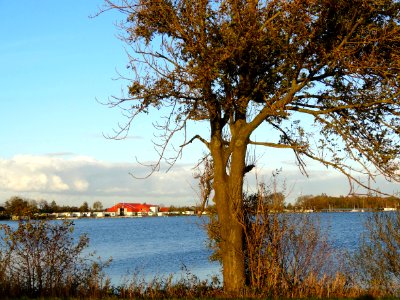 20131030_Belterwijde_met_zicht_op_Westeinde