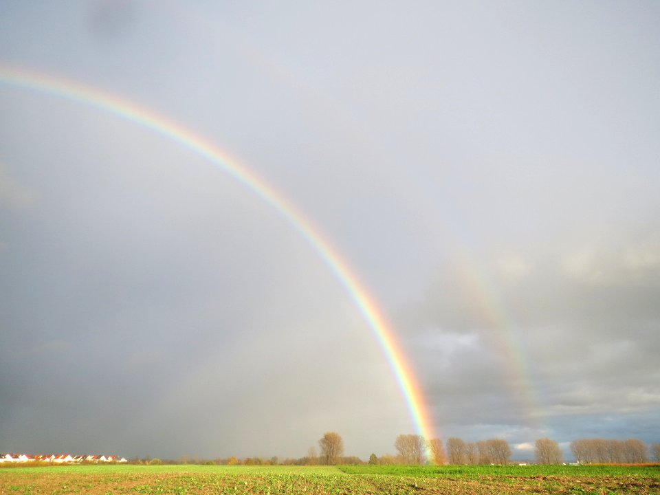 20131107Regenbogen_Reilingen6