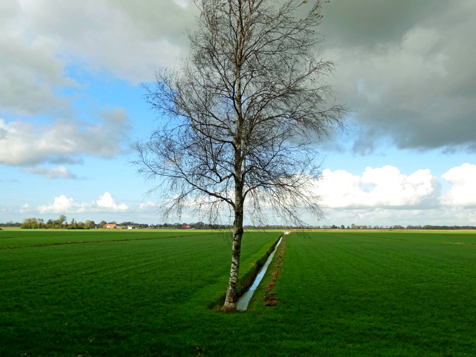 20131030_Polder_Halfweg3