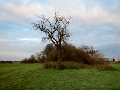 20131206Reilingen