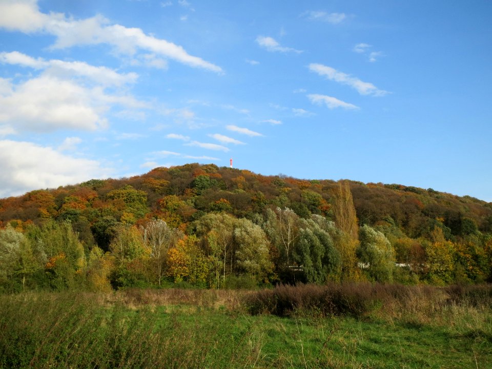 20131026St_Arnualer_Wiesen3