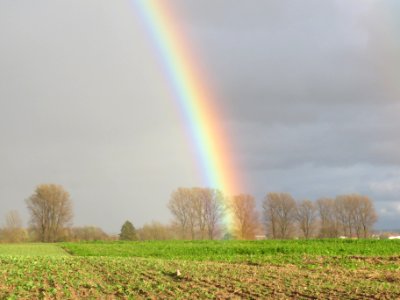 20131107Regenbogen_Reilingen5