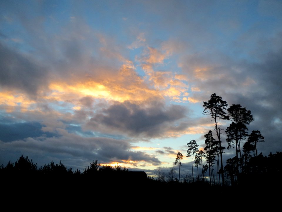 20131229Abend_Schwetzinger_Hardt2