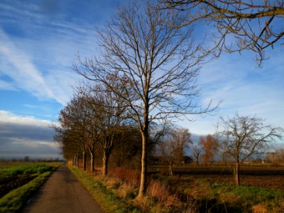 20131227Eschen_Hockenheim2