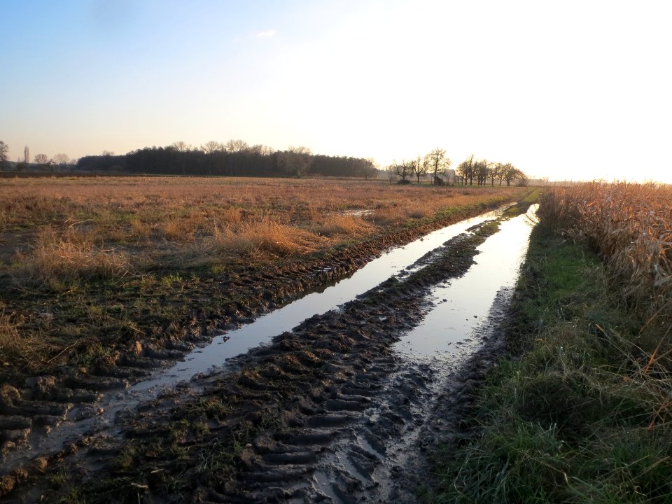 20131202Feldweg