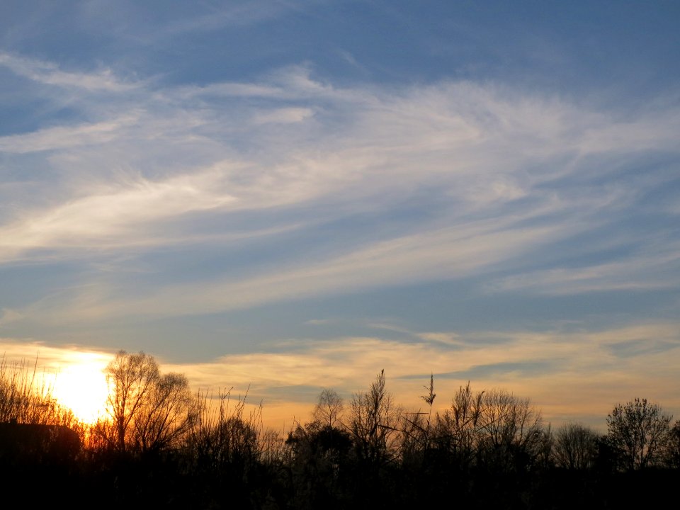 20131210Reilinger_See2