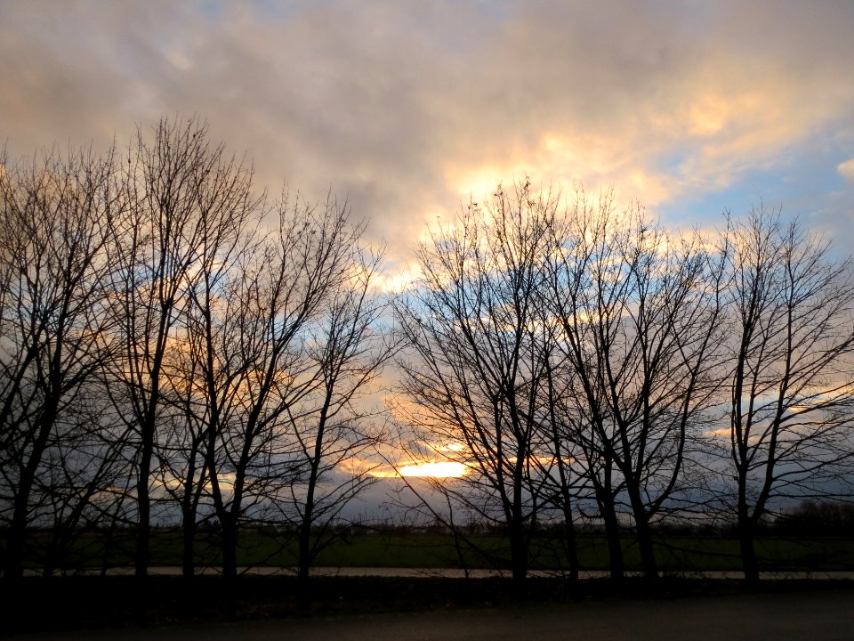 20131207Abend_Reilingen