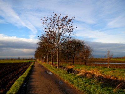 20131227Eschen_Hockenheim1