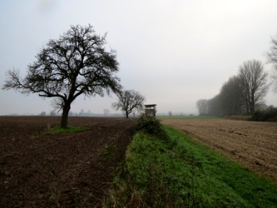 20131203Reilingen3