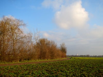 20131201Salweiden2