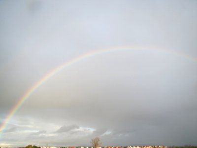20131107Regenbogen_Reilingen1