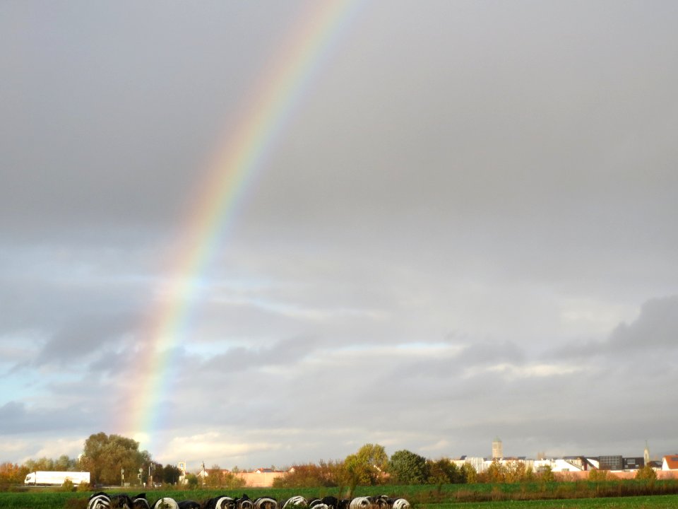 20131107Regenbogen_Reilingen2