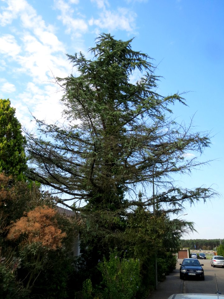 20130906Zeder_Hockenheim4