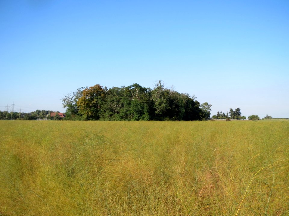 20130924Schanzenbuckel1