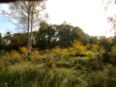 20131026St_Arnualer_Wiesen2