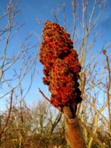 20131209Essigbaum_Hockenheim3