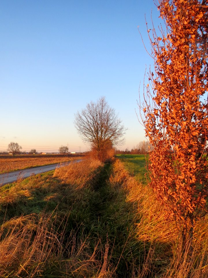20131220Alter_Kraichbach1
