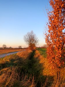 20131220Alter_Kraichbach1