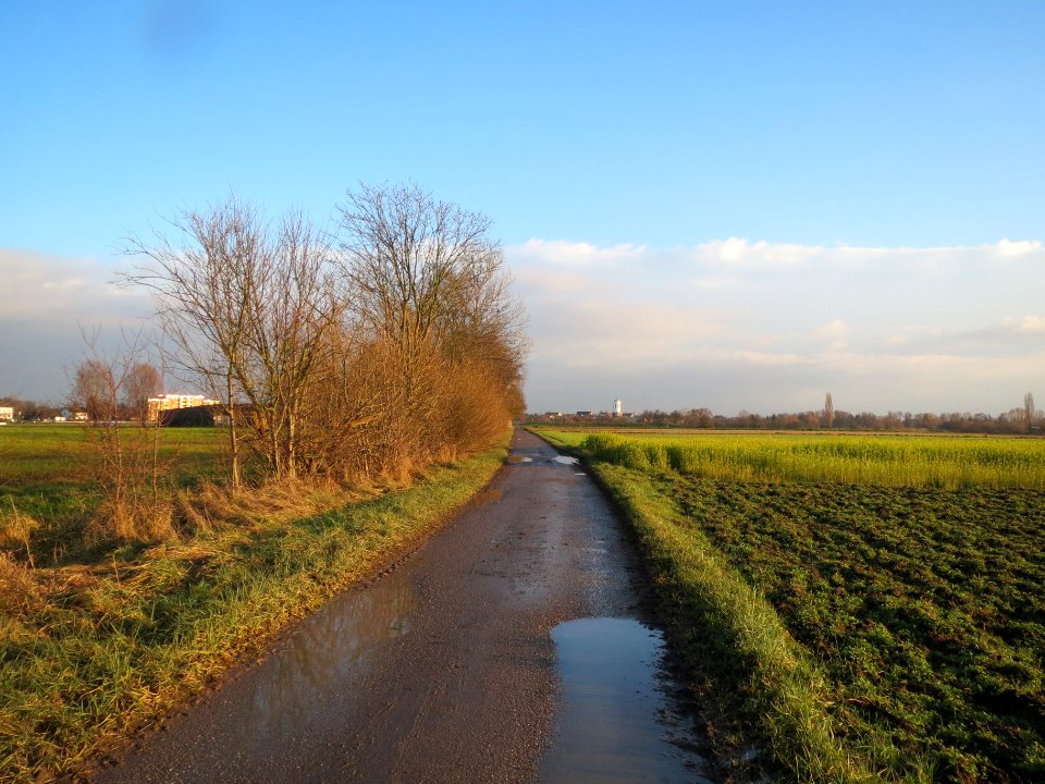 20131220Alter_Kraichbach