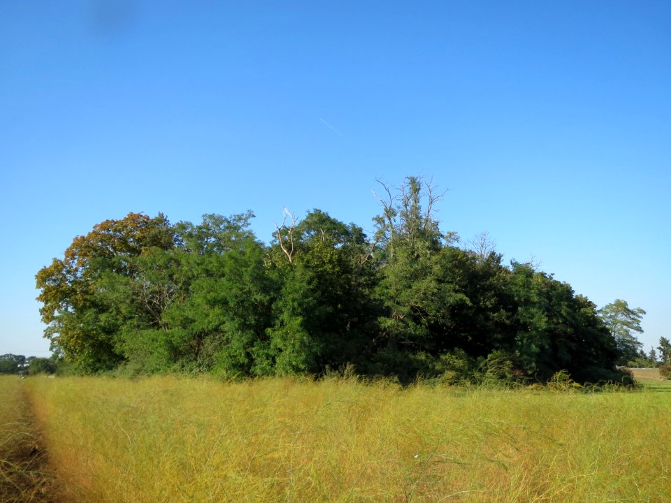 20130924Schanzenbuckel2