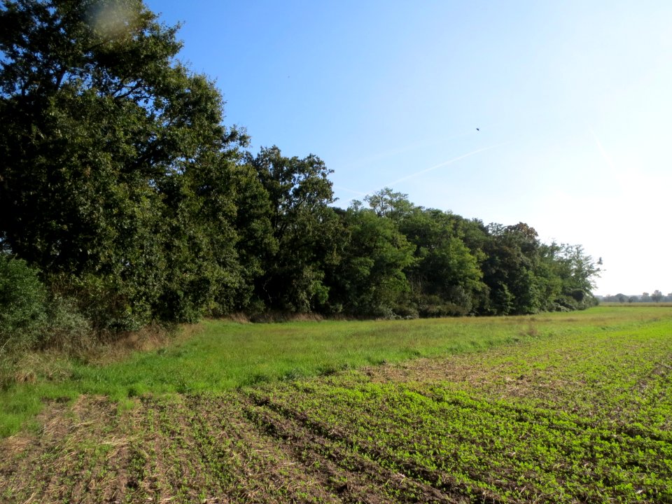 20130924Schanzenbuckel3