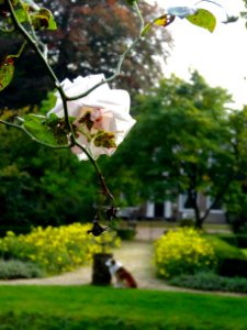 20131007_De_Horte_tuin_RM526304