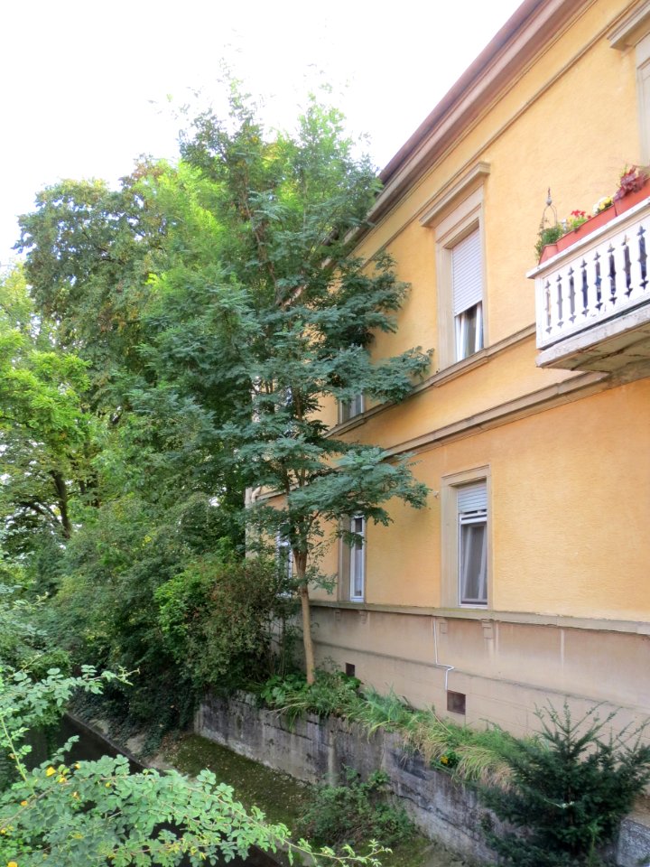 20130923Obere_Muelstr5_Hockenheim5