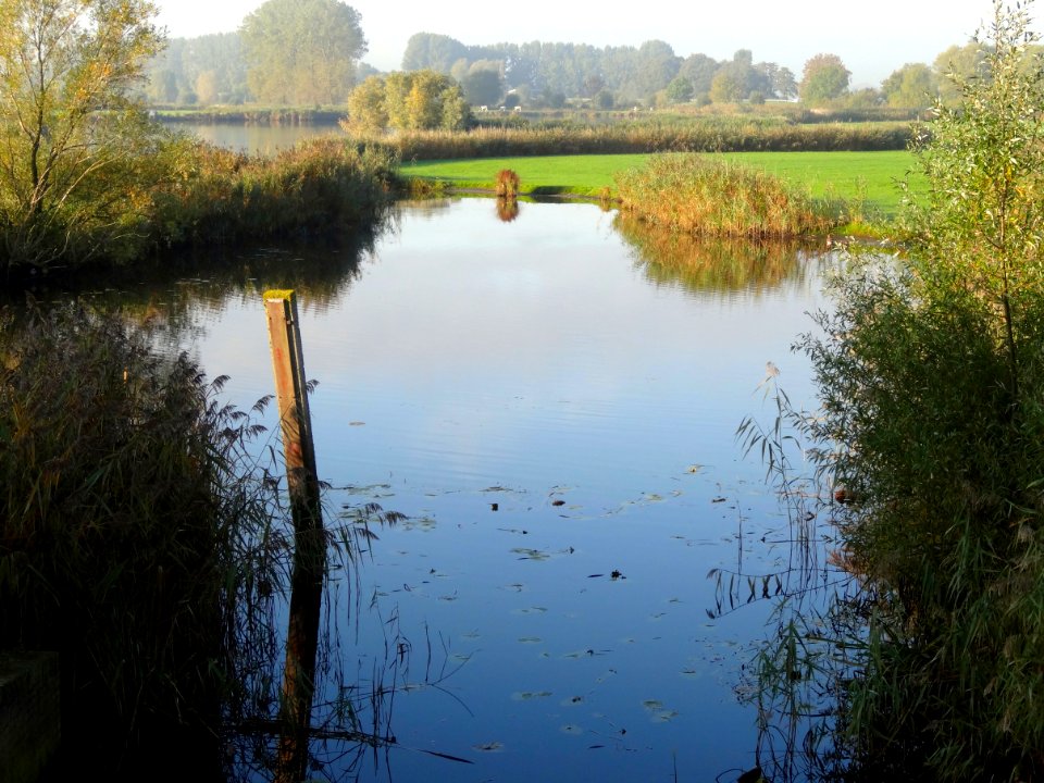 20131018_Streng_en_Zwarte_Water