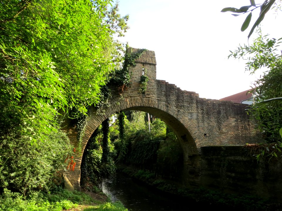 20130922Riegel_Speyer5