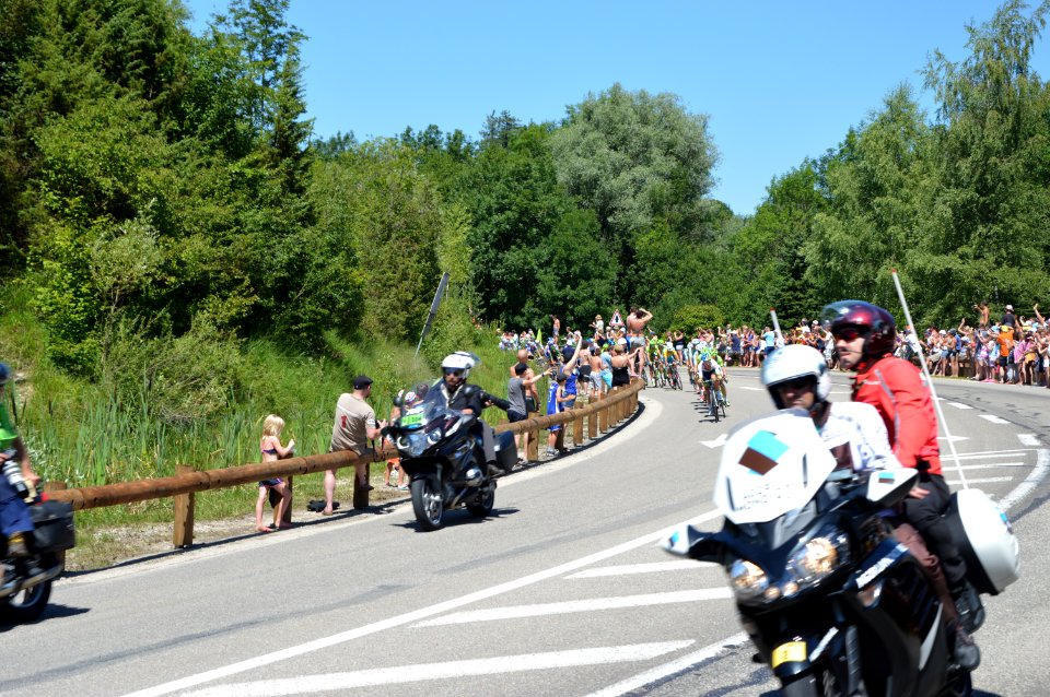 2014-07-16_Etape_11_du_Tour_de_France._Peloton_1._Free_image_Spielvogel._No_copyright