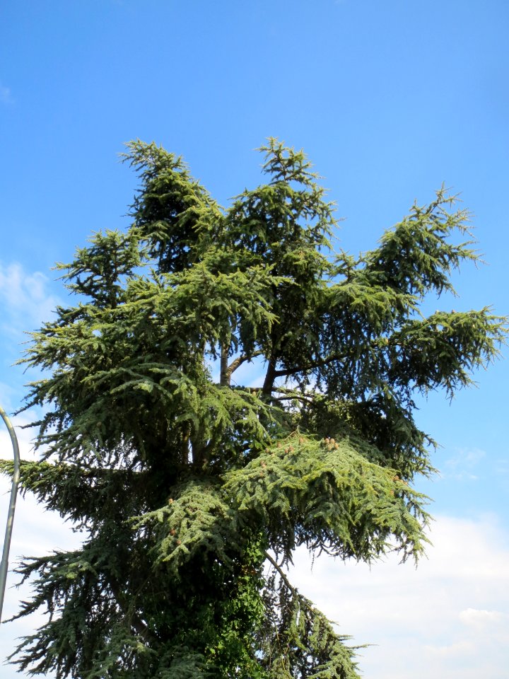 20130906Zeder_Hockenheim7