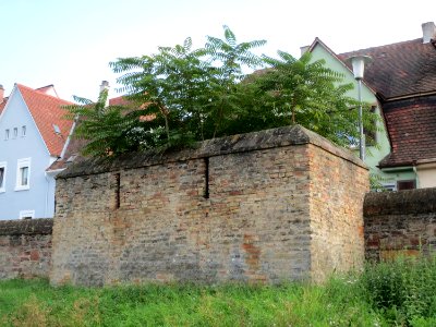 20130922Eselsdamm_Speyer5