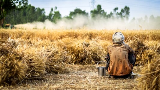 Agriculture field nature photo