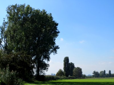 20130922Kotlachgraben1