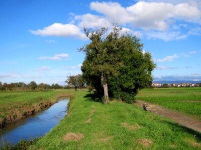 20131013Schwetzinger_Wiesen2