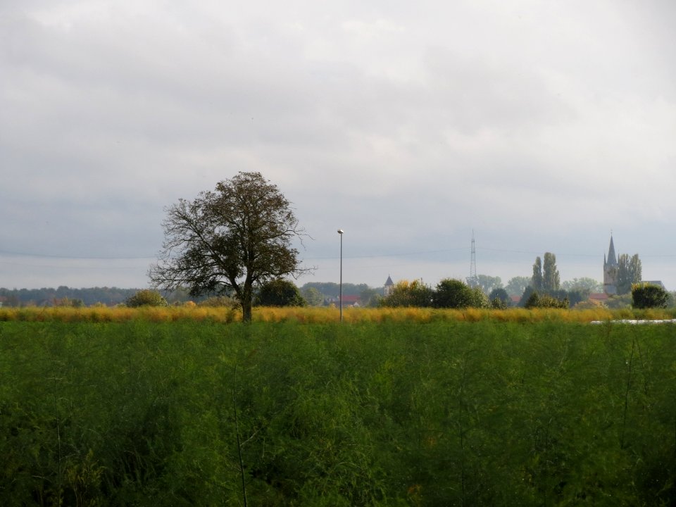 20131015Reilingen1