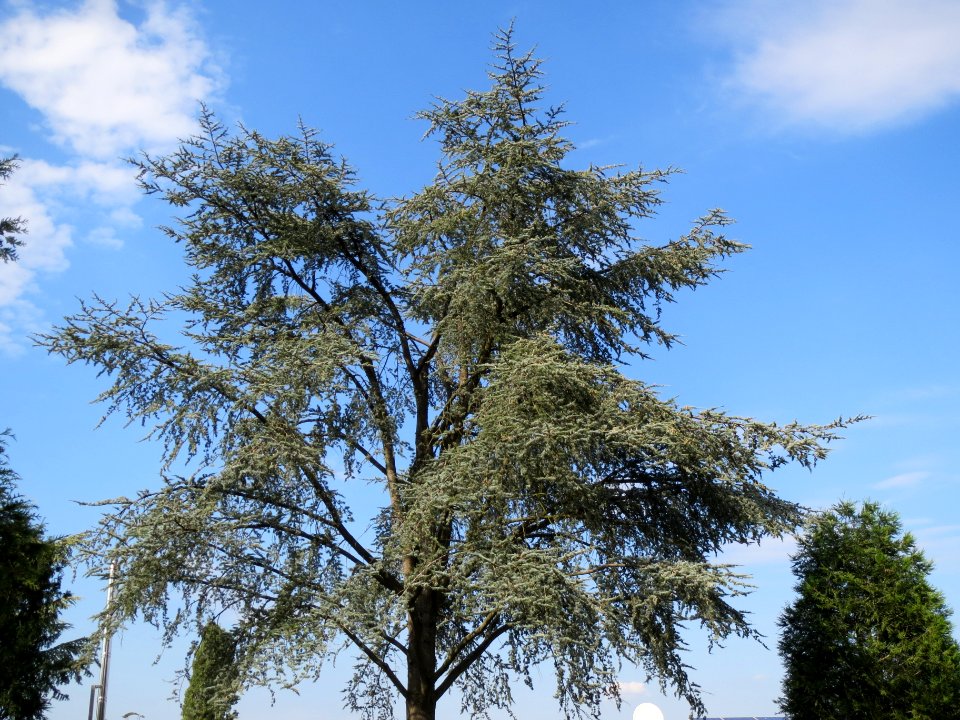 20130906Zeder_Hockenheim8