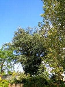 20130906Zeder_Hockenheim2