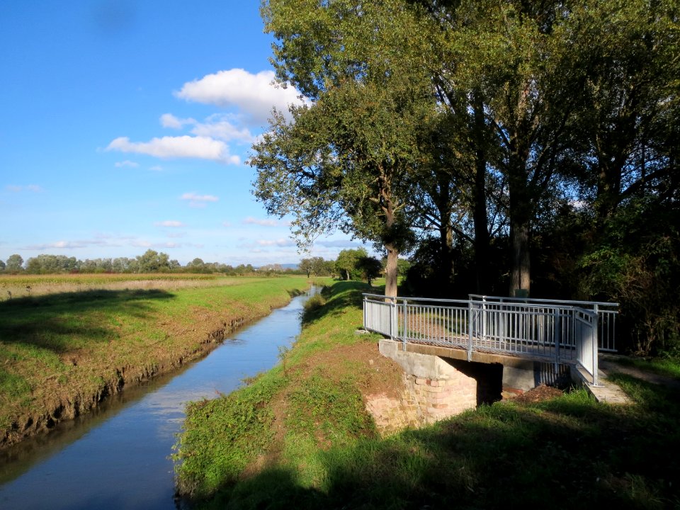 20131013Schwetzinger_Wiesen3