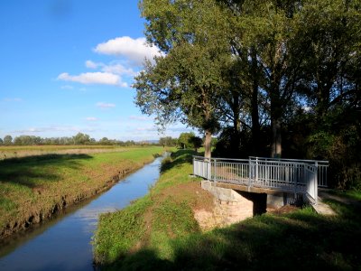 20131013Schwetzinger_Wiesen3