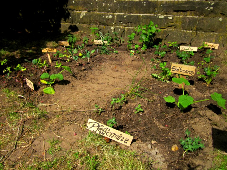 20130607Guerilla_Garten_Staden1