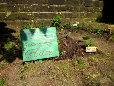 20130607Guerilla_Garten_Staden2