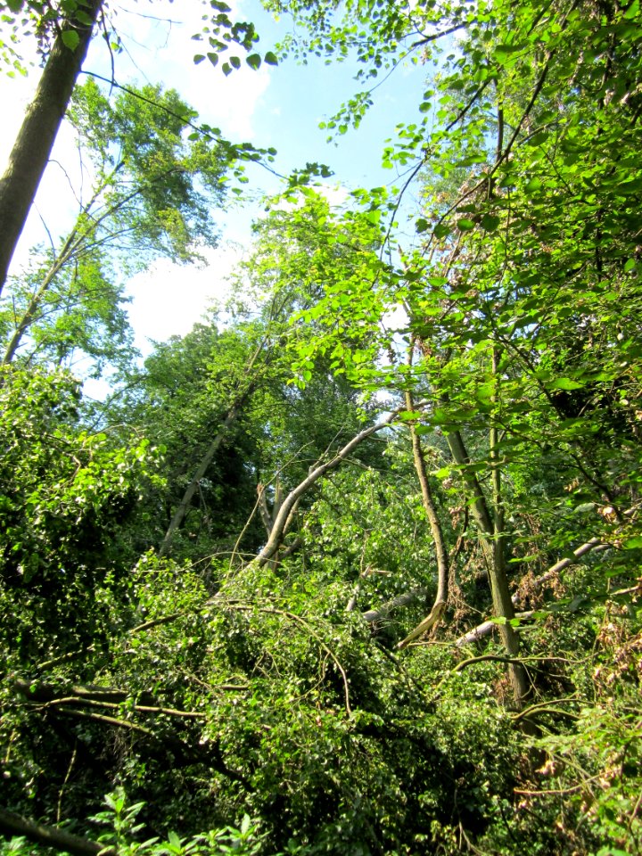 20130708Sturmschaden_Marlach1