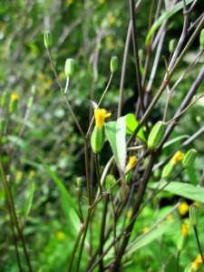 20130615Rainkohl_Hockenheim2